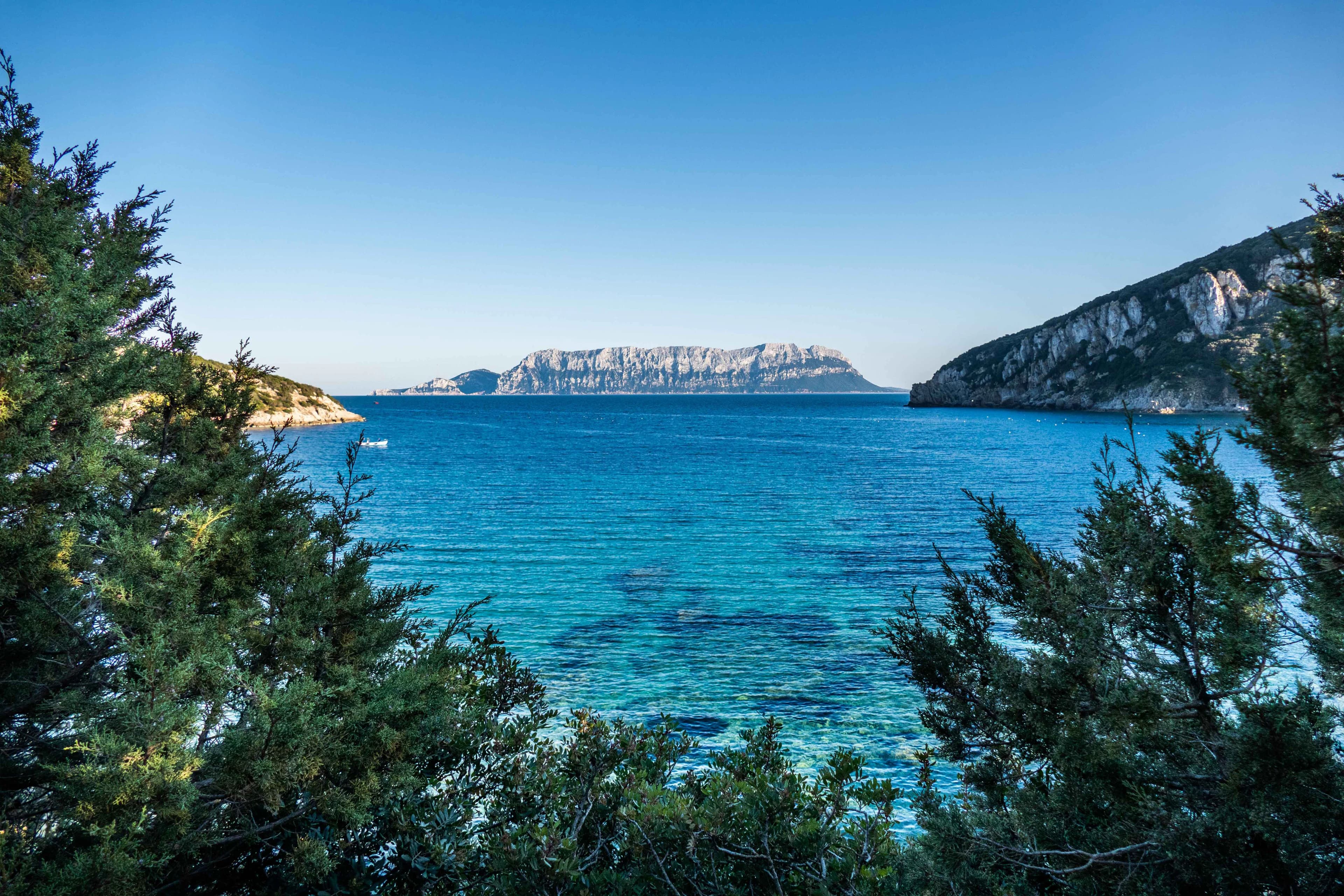 A sheltered cove on the north-east coast of Sardinia, with turquoise water and Mediterranean scrub